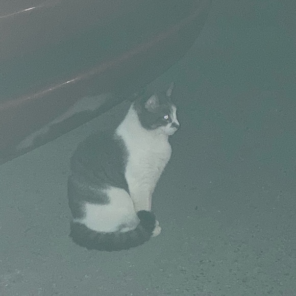 Meet your Posher, Rebecca - Picture 1 of 1